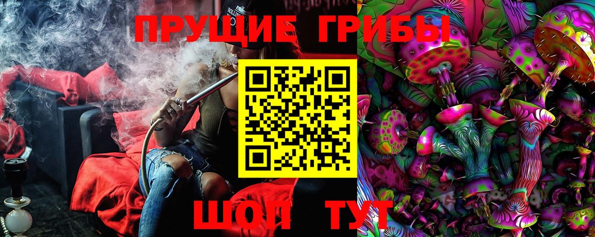 Галлюциногенные грибы Cubensis Знаменск